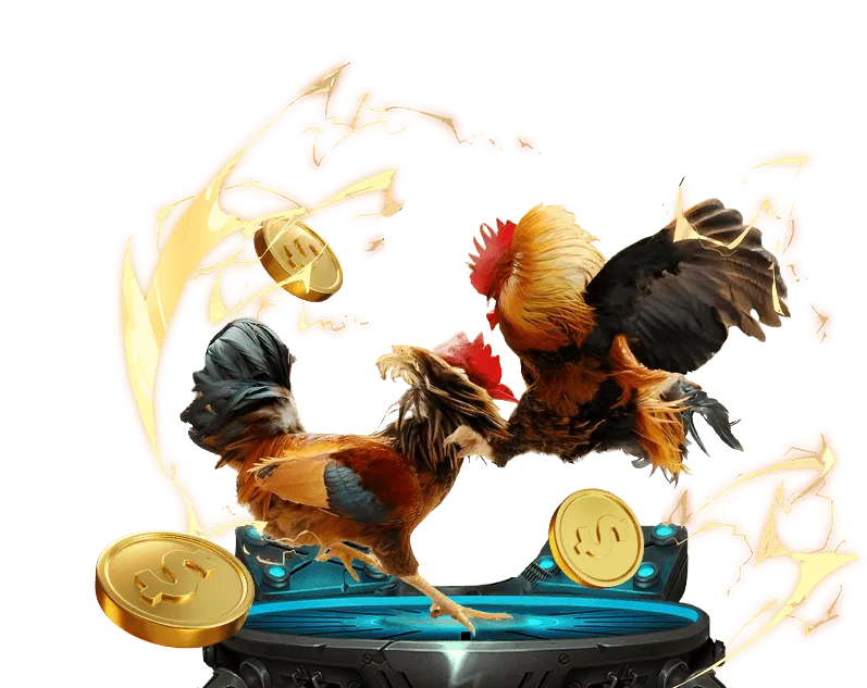 Hoàn trả cược đá gà hàng tuần tại 188BET